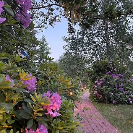 Hansjoerg Felmy Villa Nebel