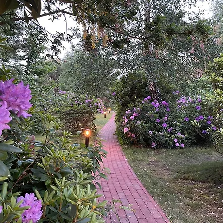 Hansjoerg Felmy Villa Nebel