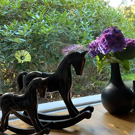 Hansjoerg Felmy Nebel