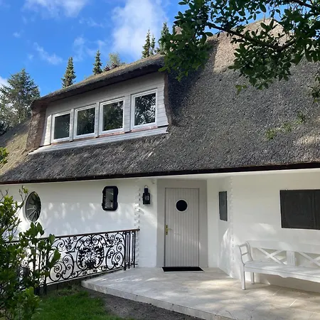 Hansjoerg Felmy Villa Nebel